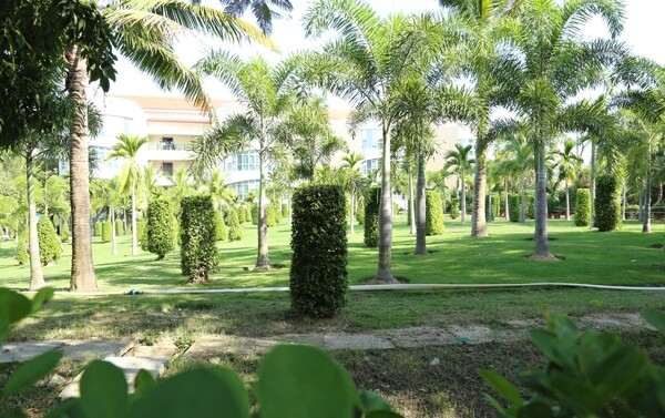 热带植物园植物园