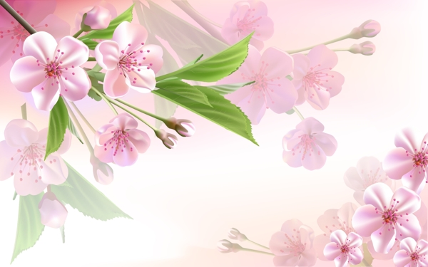 花卉背景圖片