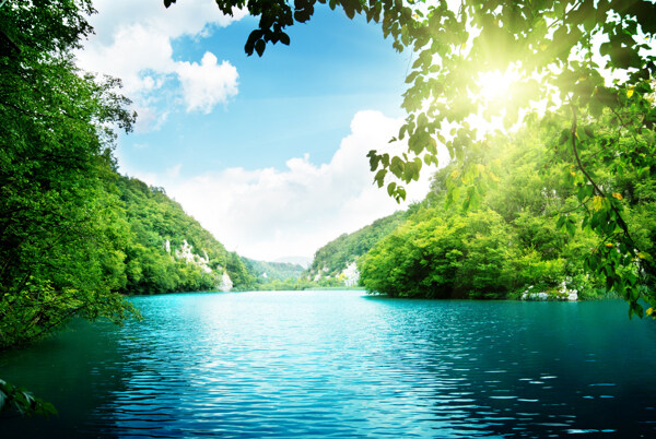 阳光森林湖泊图片
