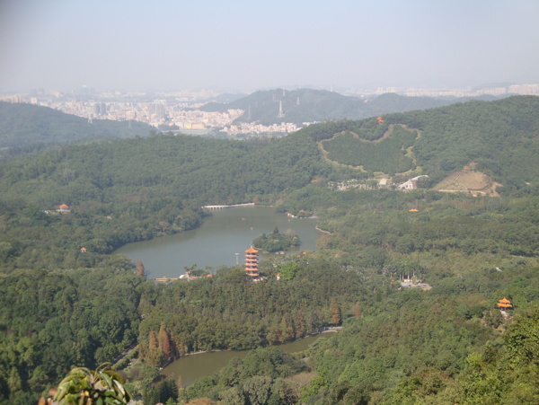 仙湖圖片