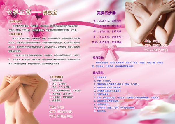 美容養(yǎng)生內(nèi)頁(yè)女性三寶圖片