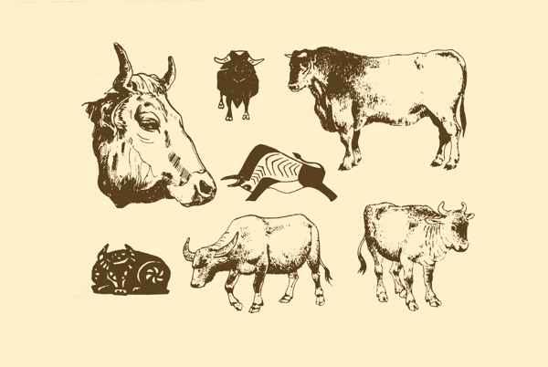 動物圖案牛圖片