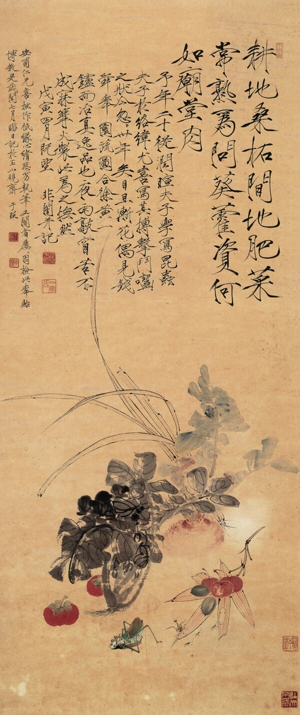 蔬果圖圖片