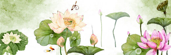 蓮花圖圖片