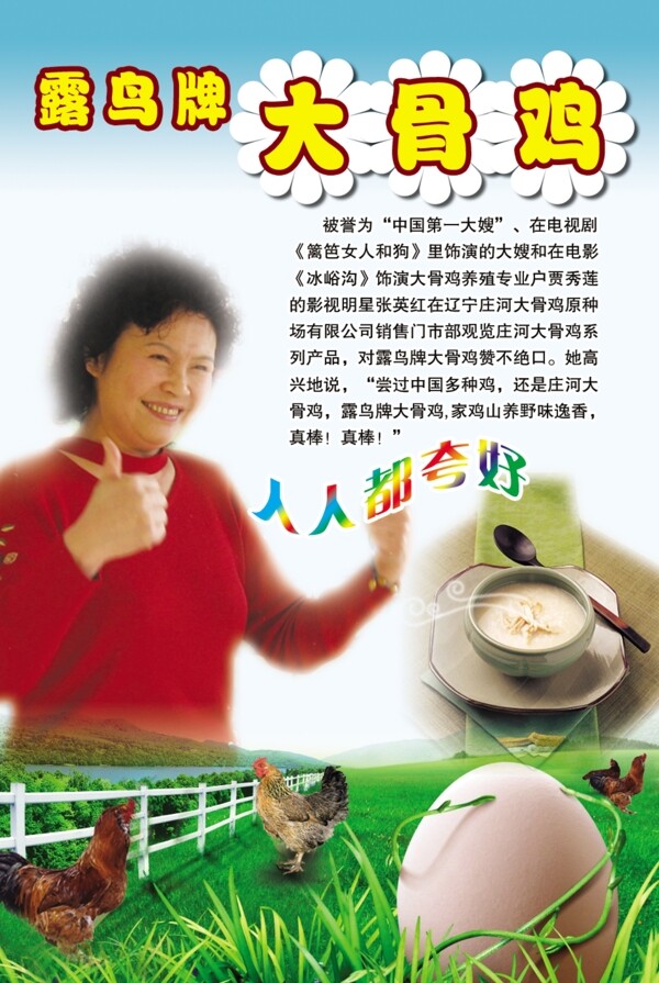 莊河大骨雞圖片