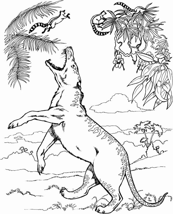 手繪動物畫動物素描
