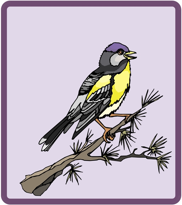 各種鳥類鳥動物矢量素材EPS格式0475