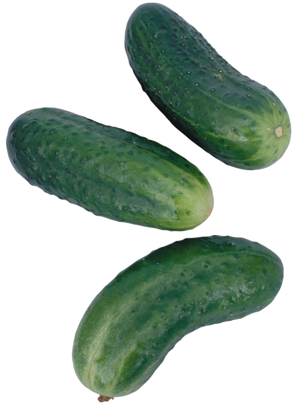 蔬菜圖片