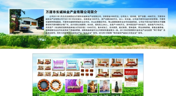 長(zhǎng)誠(chéng)林業(yè)