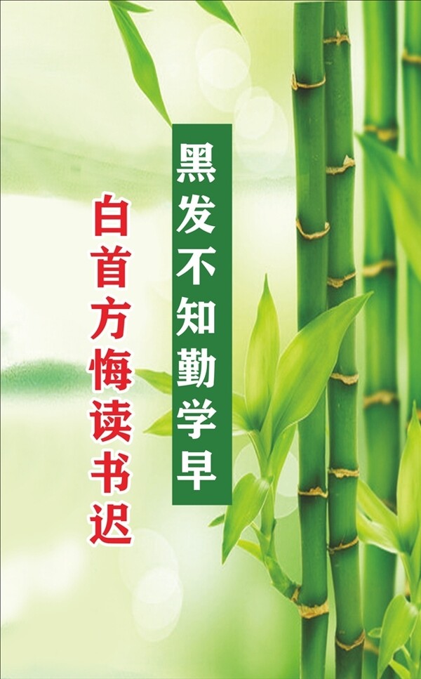校園文化勵(lì)志標(biāo)語(yǔ)