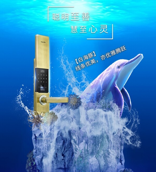 海豚智能门锁宣传海报展板