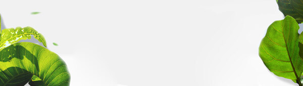 鞋淘寶清新唯美背景banner