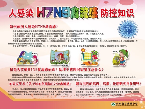 禽流感学校展板H7N9图片