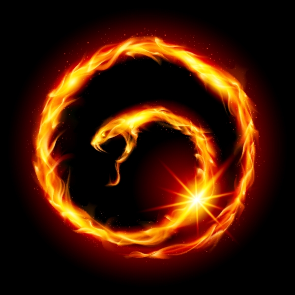 圓環(huán)蛇