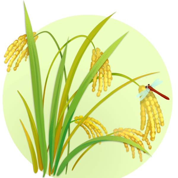 水稻立秋秋收丰收获庄稼农作物植物蜻蜓元素