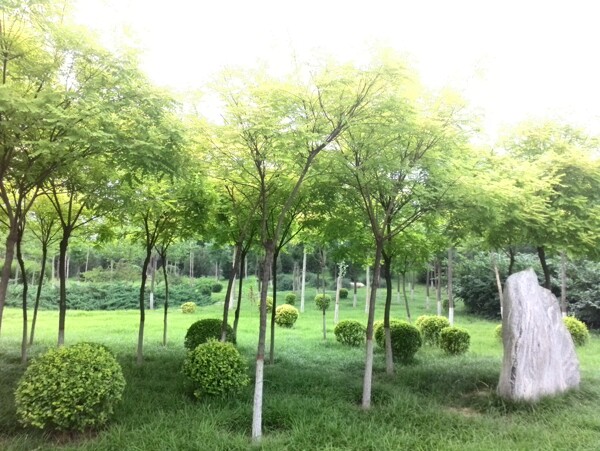 綠化