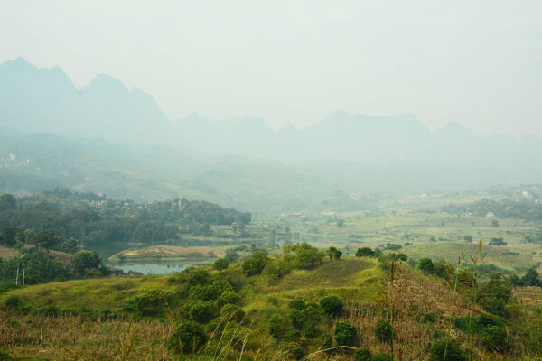 山林
