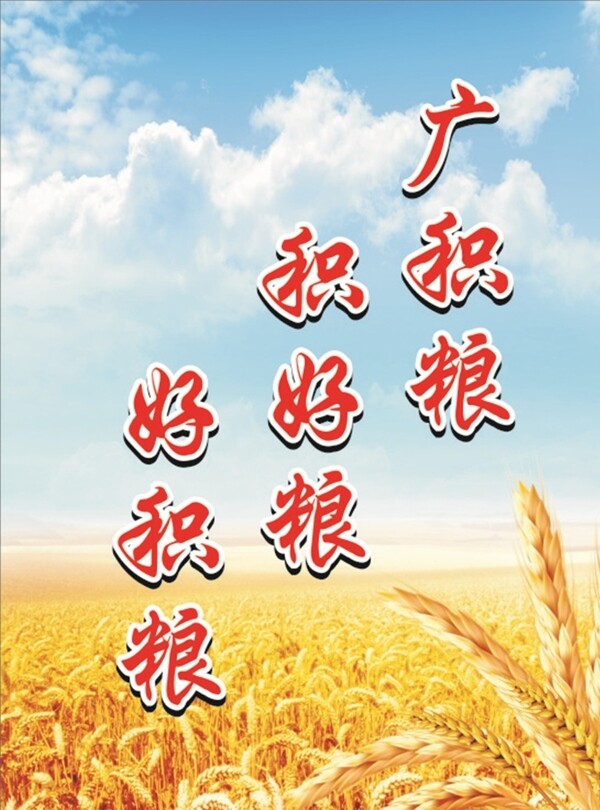粮食海报小麦麦田