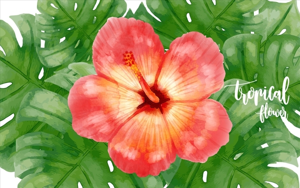 綠色背景矢量