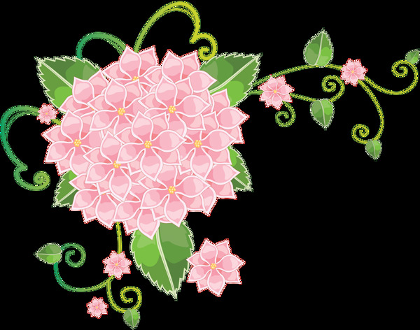 花紋背景圖片