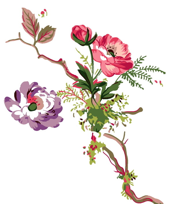 花草插圖花紋圖案0157