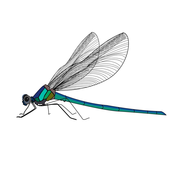 简约创意手绘风动物昆虫蜻蜓可商用元素