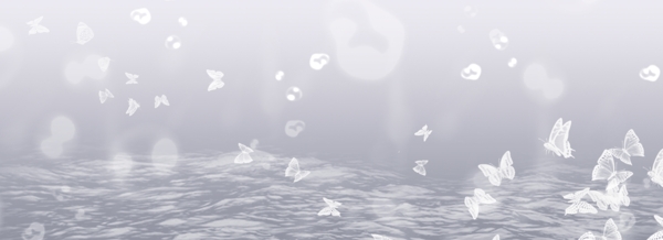 蝴蝶浪漫banner背景