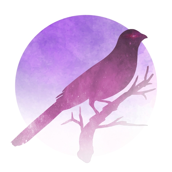 紫红色暗夜鸟可商用元素