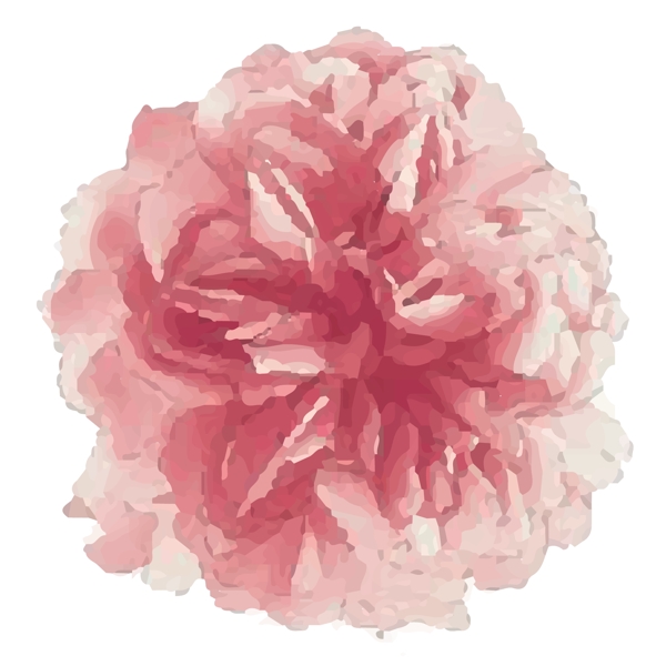 粉红色手绘牡丹花可商用