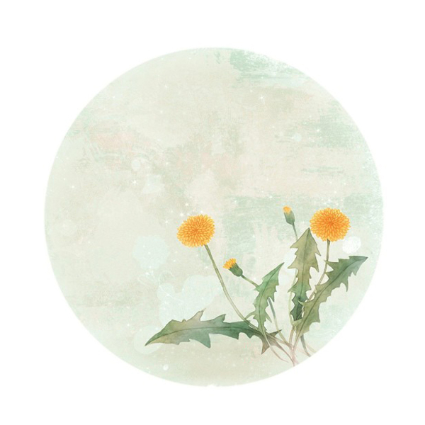 位圖插畫植物插畫藝術效果手繪免費素材