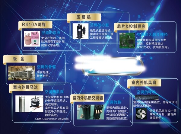 DM單