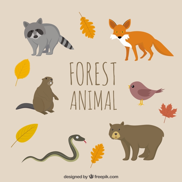 一只手拉森林的动物带着秋天的树叶