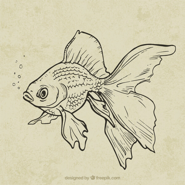 手繪的魚