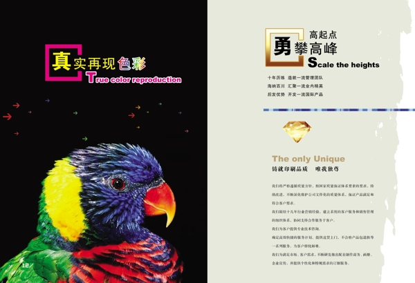 畫冊模板圖片