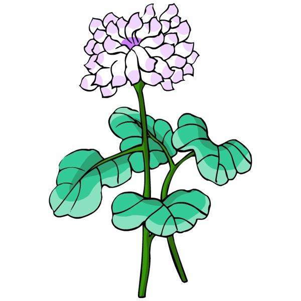 花卉古典插畫