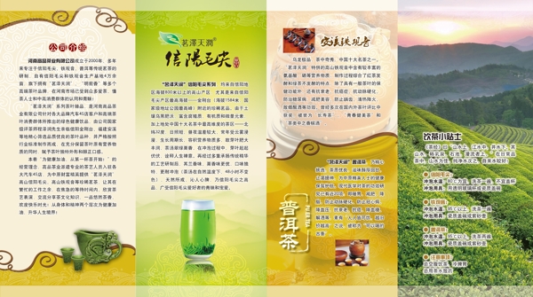 茶葉四折頁圖片
