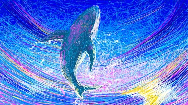 线圈画向上飞的鲸与海洋