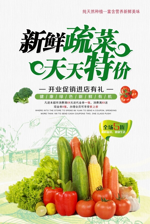 新鲜蔬菜天天特价开业促销