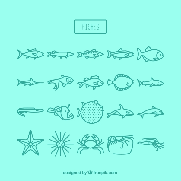 手繪海洋生物