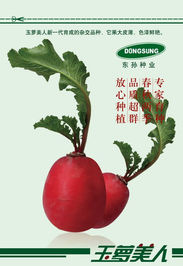 蘿卜包裝圖片