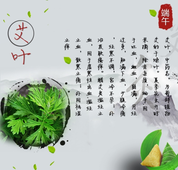 端午艾灸艾葉