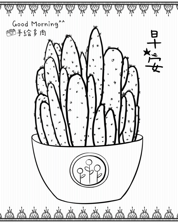 多肉植物