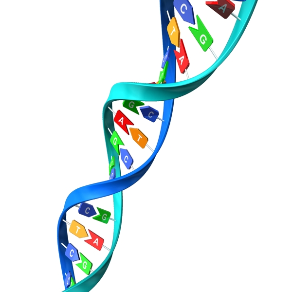 DNA双螺旋图片