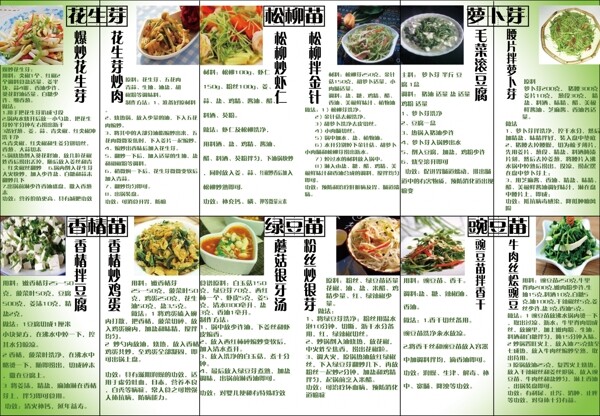 芽苗菜三折頁圖片
