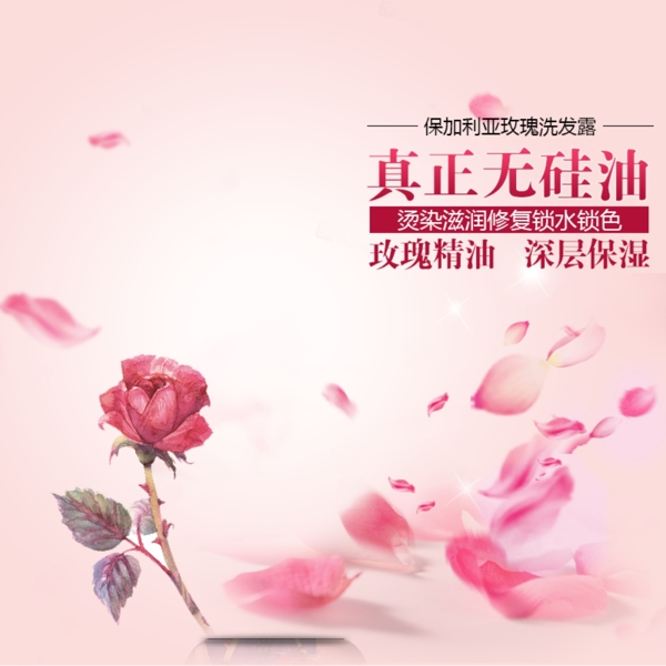 玫瑰