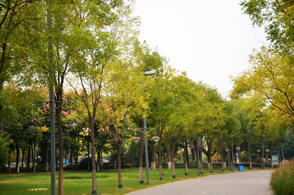 西安世博園