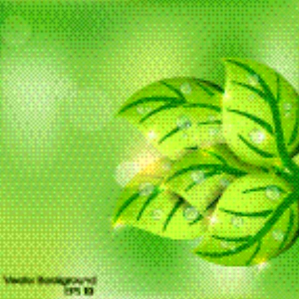 矢量素材樹(shù)葉植物紋理