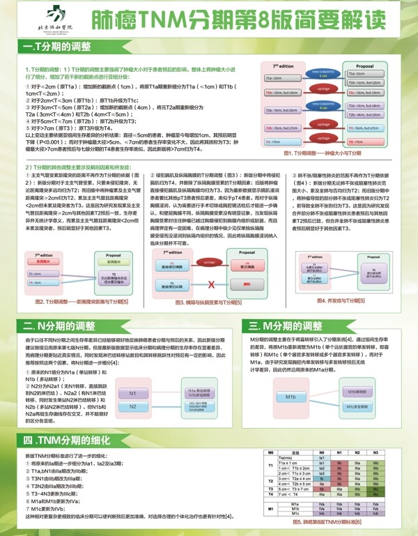 肺癌TNM分期简要解读展板