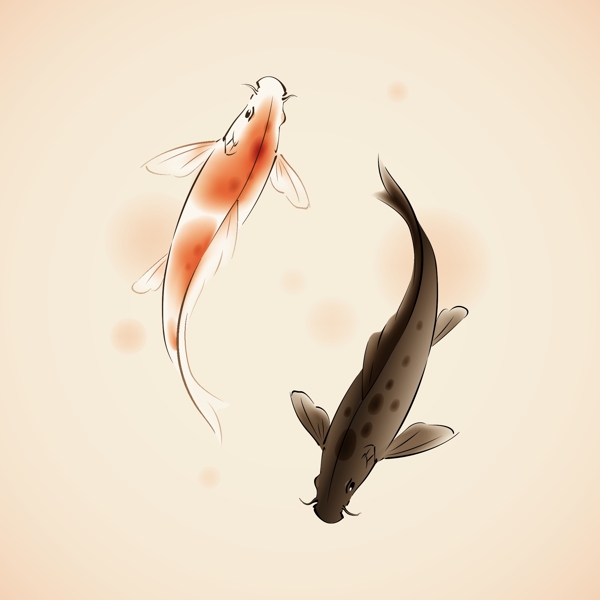 錦鯉
