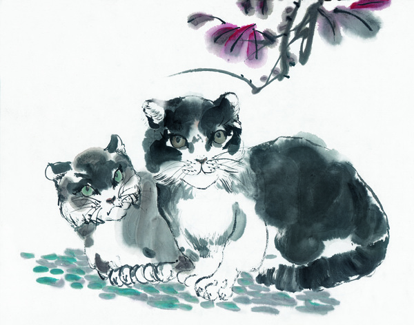 花鳥(niǎo)圖片